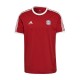 Adidas FC Bayern 3-Stripes GR0687